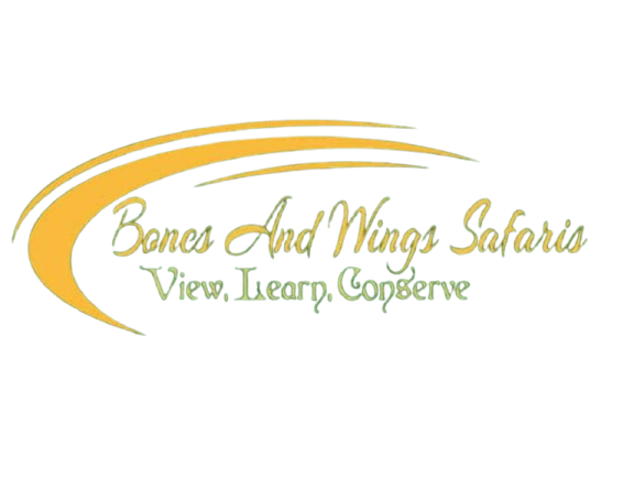 Bones and Wings Safaris